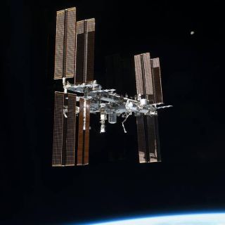 Encuentran cuatro cepas de microbios en la EEI; tres de ellas desconocidas