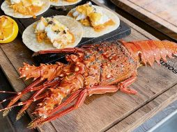 Es todo un ritual y espectáculo ver cómo los preparan los tacos de langosta. ESPECIAL