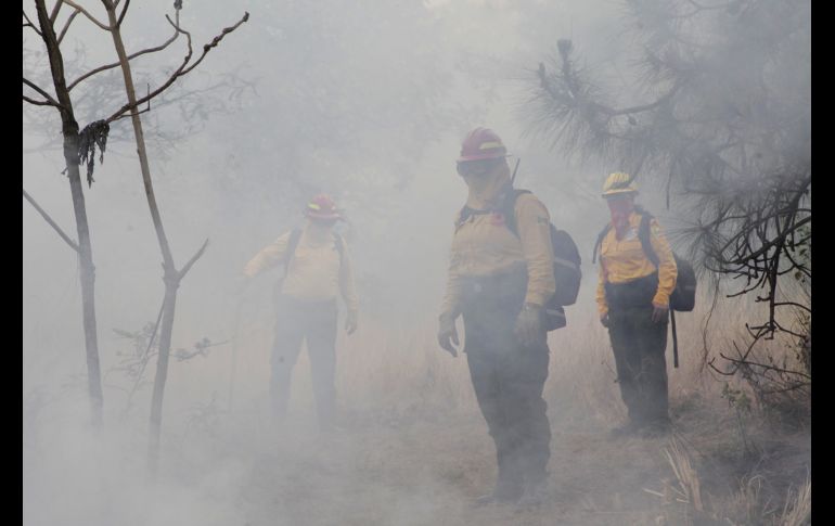 Para la prevención y combate de incendios de este año se ha destinado un recurso de 99 millones 511 mil 305 pesos. ESPECIAL/ Semadet Jalisco