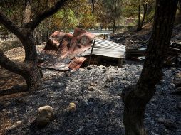 Aspectos de chozas de madera completamente carbonizadas cerca de la comunidad rural Los Lirios, en los límites de Coahuila y Nuevo León. EFE/M. Sierra