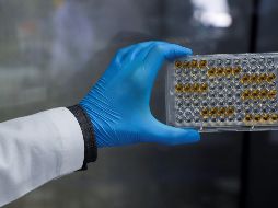 En la Universidad Autónoma de Querétaro se realizan pruebas de vacunas anti COVID-19. EFE/ARCHIVO