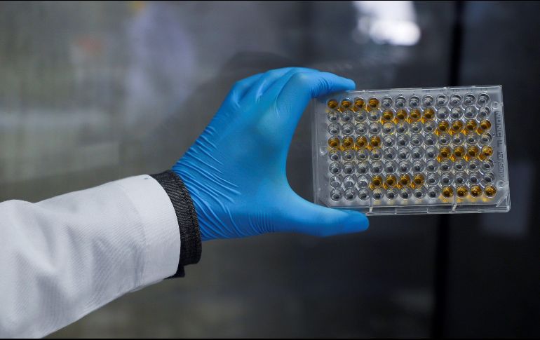 En la Universidad Autónoma de Querétaro se realizan pruebas de vacunas anti COVID-19. EFE/ARCHIVO