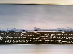 ESPACIO Y LUZ. Su obra se caracteriza por planos texturizados para observar el horizonte. CORTESÍA/ Galería mimí Mendoza