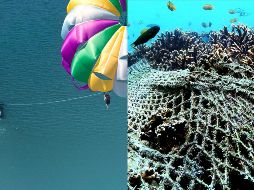 ”Seaspirazy: La pesca insostenible” y “¿Quién mató a Sara?” son los estrenos de hoy en Netflix. CORTESÍA / Netflix