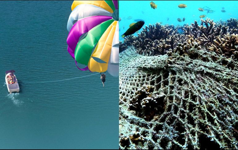 ”Seaspirazy: La pesca insostenible” y “¿Quién mató a Sara?” son los estrenos de hoy en Netflix. CORTESÍA / Netflix