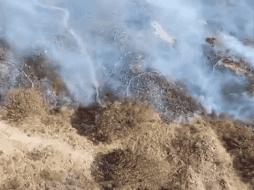 Se contó con el apoyo de dos helicópteros que realizaron 86 descargas a lo largo de ocho horas de vuelo. ESPECIAL / Semadet