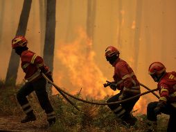 Según la Conafor, los estados con más incendios activos en México son Chihuahua, que sufre de 10 conflagraciones y San Luis Potosí, con 10. EFE / ARCHIVO