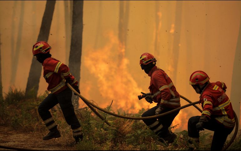 Según la Conafor, los estados con más incendios activos en México son Chihuahua, que sufre de 10 conflagraciones y San Luis Potosí, con 10. EFE / ARCHIVO