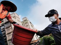 Las actividades agropecuarias incidieron de gran manera en el avance, pues se esperaba que ante el mal clima de inicio de año prosiguiera la debilidad, pero en su lugar crecieron. AFP / ARCHIVO