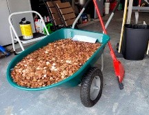 Las monedas de un centavo de dólar llenan una carretilla.  AP/Olivia Oxley