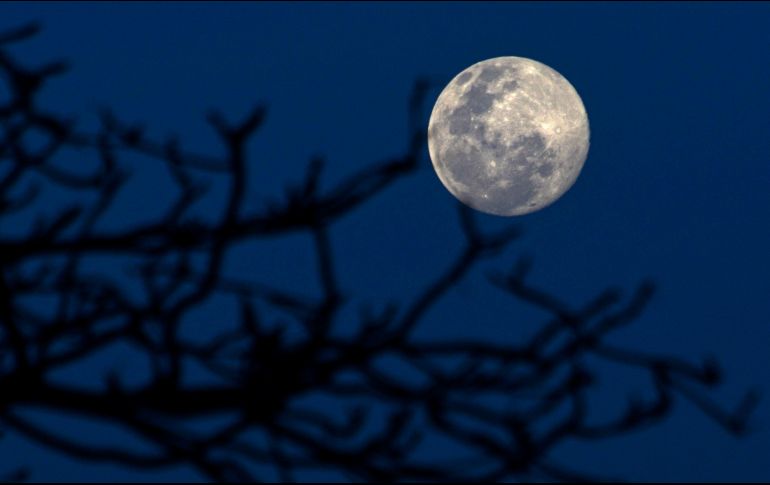 La Luna de gusanos recibe su nombre porque ésta era la época del año en que la tierra comenzaba a ablandarse y, por lo tanto, las lombrices y gusanos de la tierra aparecían. AFP / ARCHIVO