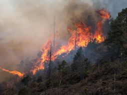 Un incendio en el Baratillo, en el municipio de Arteaga. EFE/M. Sierra