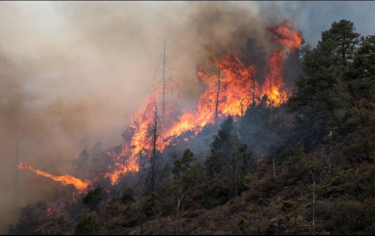 Un incendio en el Baratillo, en el municipio de Arteaga. EFE/M. Sierra