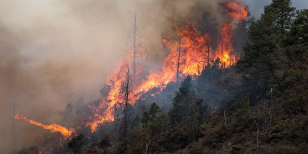 Incendio en Coahuila y Nuevo Le&oacute;n afecta 12 mil hect&aacute;reas