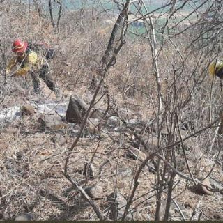 Reportan incendios activos en Zapopan, Tepatitlán y Juanacatlán