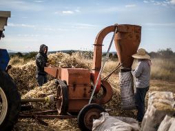 CAMPO. La Ley de la Industria Eléctrica generará más gastos a los agricultores y, por lo tanto, más encarecimiento de los alimentos. Jalisco, principal productor a nivel nacional, sería severamente afectado.