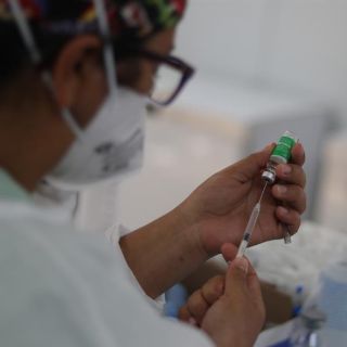 COVID-19: Informe de la OMS descarta la creación del virus en un laboratorio