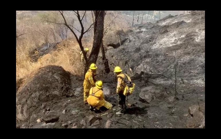 En la zona de Las Cañadas también se afectó un área de diez hectáreas. TWITTER / @UMPCyBZ