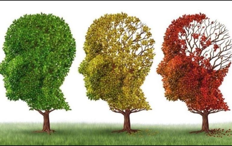 Los únicos medicamentos aprobados para el alzhéimer solo alivian algunos de los síntomas, parcial y temporalmente, pero no detienen el progreso de la enfermedad. GETTY IMAGES