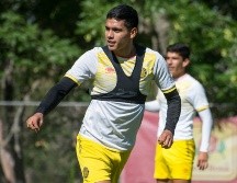 Los melenudos son últimos en la tabla general con solamente ocho unidades ganadas. TWITTER / @LeonesNegrosCF