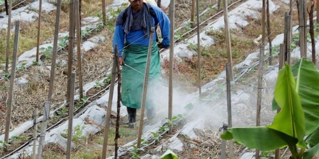Pandemia dejar&aacute; cicatrices m&aacute;s profundas en pa&iacute;ses emergentes: FMI