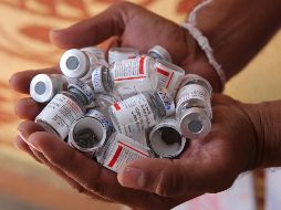 La directora general de la OMC dice que apoya la creación de una estructura que brinde a los países en desarrollo 