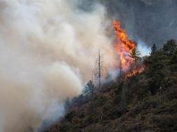El incendio forestal que se ha registrado en Coahuila y Nuevo León ha afectado alrededor de 12 mil héctareas. EFE / ARCHIVO