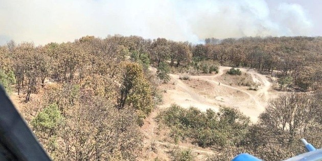 Seguridad en Jalisco: Reportan incendio en paraje Las Canoas en Bosque La Primavera