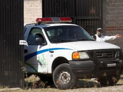 En la fosa se encontraron también un lote de segmentos óseos, siete cráneos, así como diversos indicios. EFE/ ARCHIVO