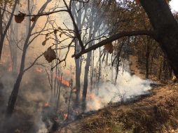 Las condiciones climáticas y la dirección del viento han dificultado su control. TWITTER / CONAFOR
