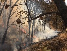 Las condiciones climáticas y la dirección del viento han dificultado su control. TWITTER / CONAFOR