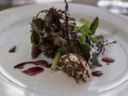 Yo era esa mujer, que todo giraba entorno a la alimentación y brincaba de nutrióloga en nutrióloga o de báscula en báscula. EL INFORMADOR / ARCHIVO