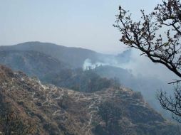A un día de iniciado el combate en La Primavera, los trabajos de atención del incendio continúan. ESPECIAL / Semadet
