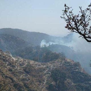 Activan alerta atmosférica en Ameca y Tala por incendio en La Primavera