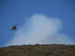 Se pudo contener el avance del siniestro hacia la zona de Bugambilias. ESPECIAL / Gobierno de Zapopan