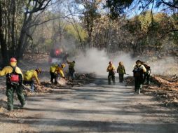 En el Bosque La Primavera se registra un incendio en el que ya combaten más de 500 brigadistas. ESPECIAL / SEMADET
