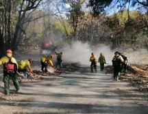 En el Bosque La Primavera se registra un incendio en el que ya combaten más de 500 brigadistas. ESPECIAL / SEMADET