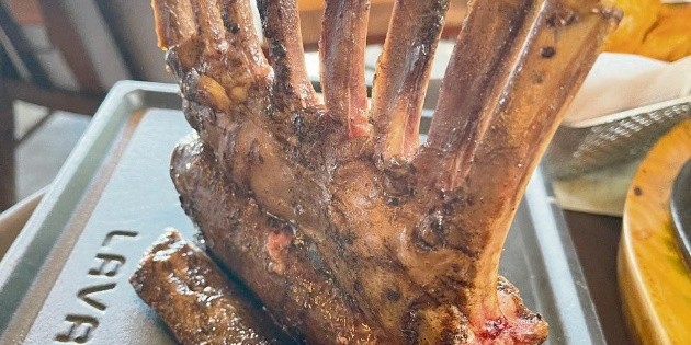 Sylvestre: Lo mejor de lo mejor (segunda parte)