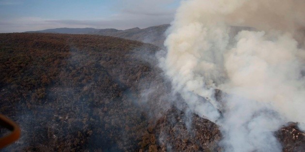 Bosque La Primavera: Combaten incendio forestal por tres frentes