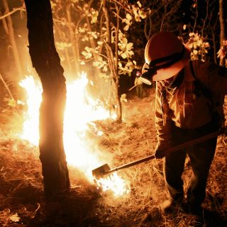 En el limbo, protección a los bosques incendiados