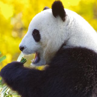 Espacios que se pintan de vida en primavera