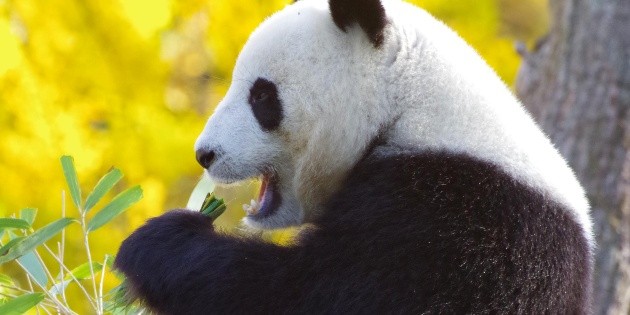Espacios que se pintan de vida en primavera