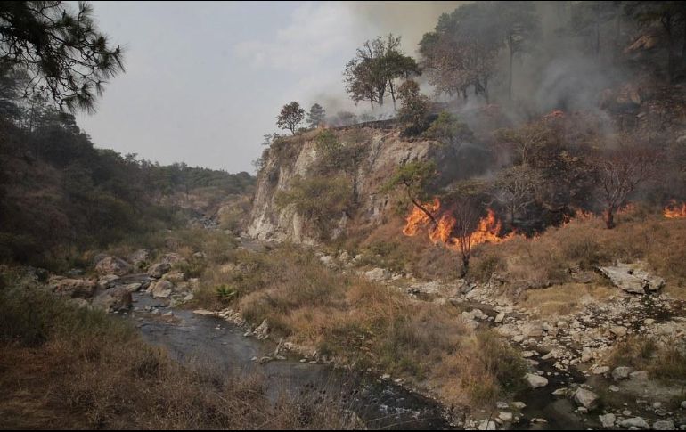 Bomberos combaten el incendio en La Primavera desde el jueves pasado. ESPECIAL / Semadet