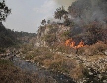 Bomberos combaten el incendio en La Primavera desde el jueves pasado. ESPECIAL / Semadet