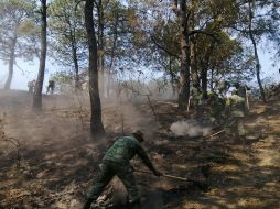 El área afectada se estimó en alrededor de 4 mil 500 hectáreas. ESPECIAL / Bomberos de Zapopan
