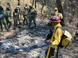 En caso de detectar incendios forestales, la autoridad pidióreportarlos de inmediato a las líneas de teléfono 33 3636 8252 y 800 INCENDIO. ESPECIAL/BOMBEROS DE ZAPOPAN