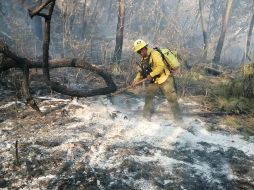 El más reciente, cuya extinción no se ha reportado de manera oficial, es el que más afectación ha dejado en esta parte de la metrópoli. ESPECIAL/BOMBEROS DE ZAPOPAN