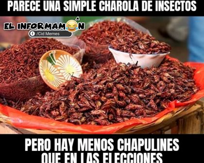 Chapulines en acción