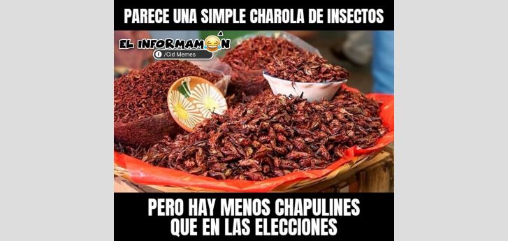 Chapulines en acción