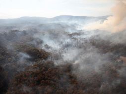 AFECTACIÓN. De acuerdo con las autoridades, la conflagración abrasó alrededor de cuatro mil 500 hectáreas: una sexta parte del Área Natural Protegida (ANP).  ESPECIAL/COORDINACIÓN GENERAL DE GESTIÓN DEL TERRITORIO